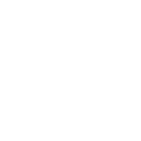 CPU Processor